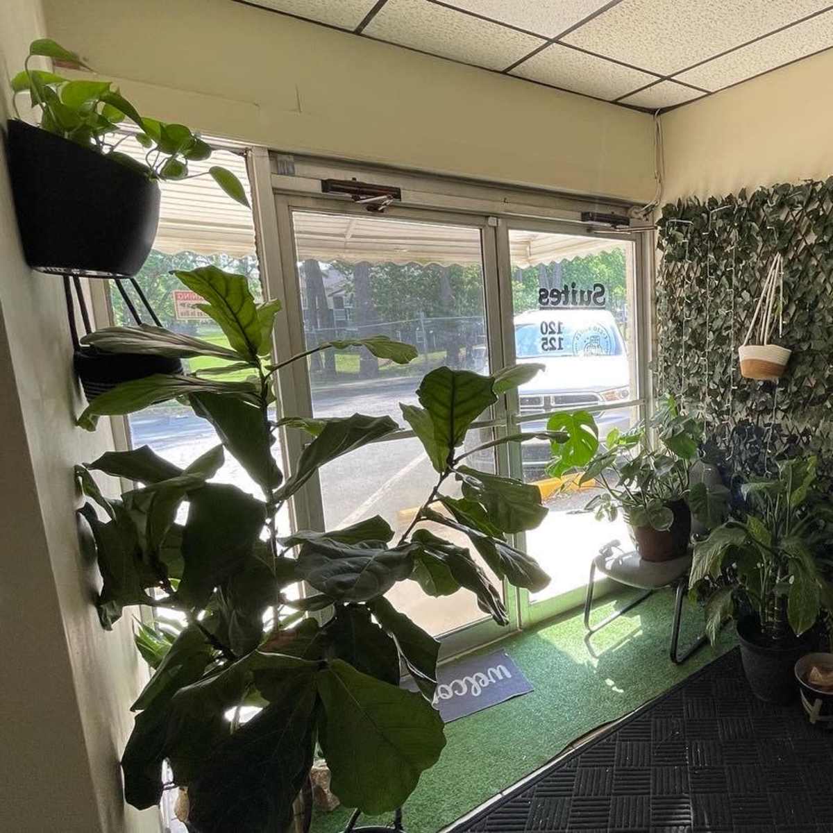 A small entryway with green plants and a wall covered in foliage, leading to a doorway with glass doors that open to the outdoors.