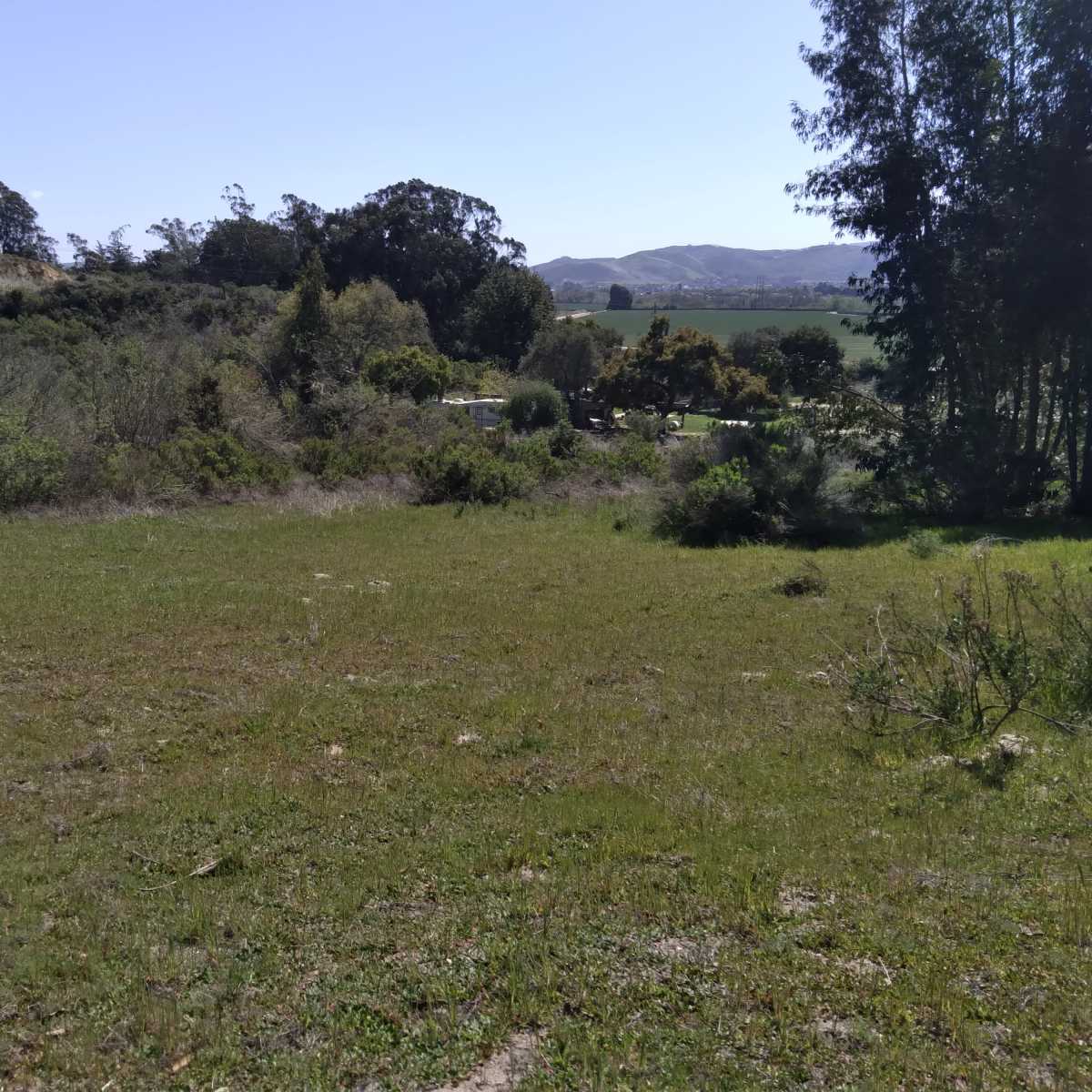An open field with shrubs and trees, bordered by a hilly landscape in the background.