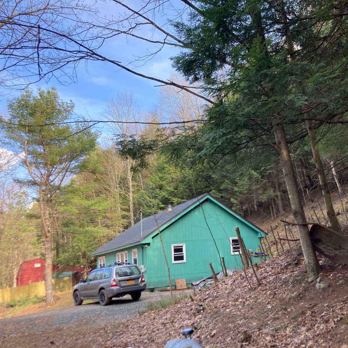 A green house is situated among trees with a gravel driveway and a wheelbarrow leaning against a tree.