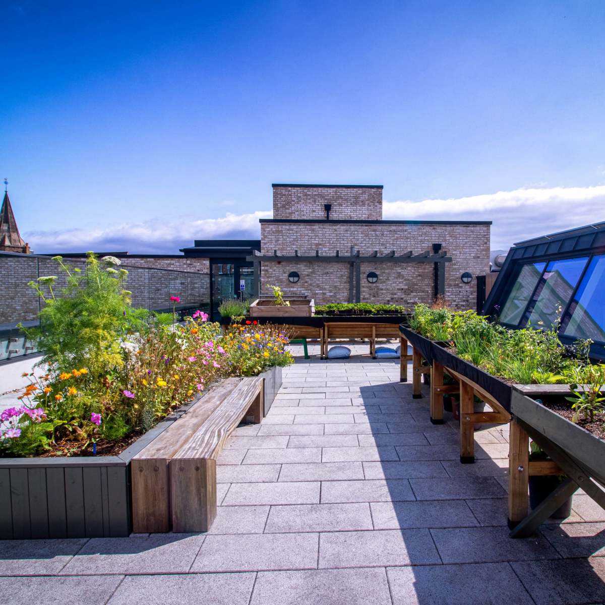 A rooftop garden featuring planters filled with various plants and flowers, with a backdrop of buildings and a clear blue sky.
