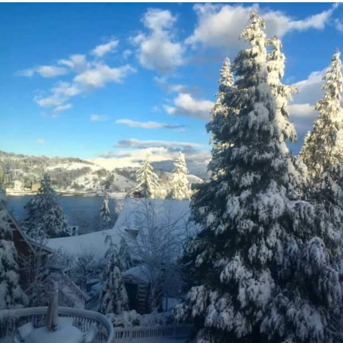 A snowy landscape features tall evergreen trees and a lake surrounded by hills under a partly cloudy sky.