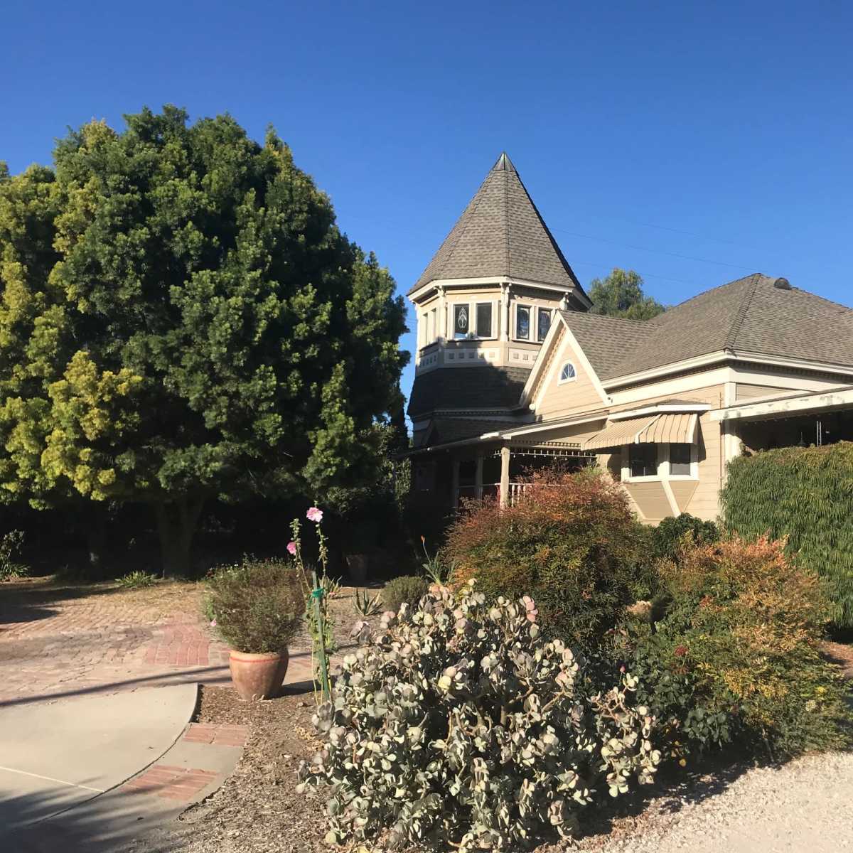 A Victorian-style house with a peaked tower is surrounded by well-maintained shrubs and trees.