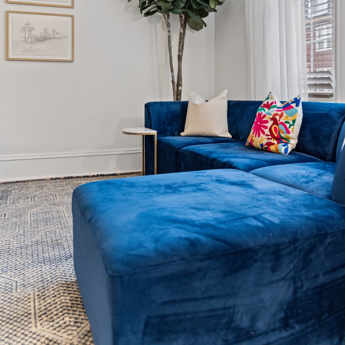 A blue velvet sectional couch with colorful pillows is positioned next to a potted plant and framed artwork on the wall.
