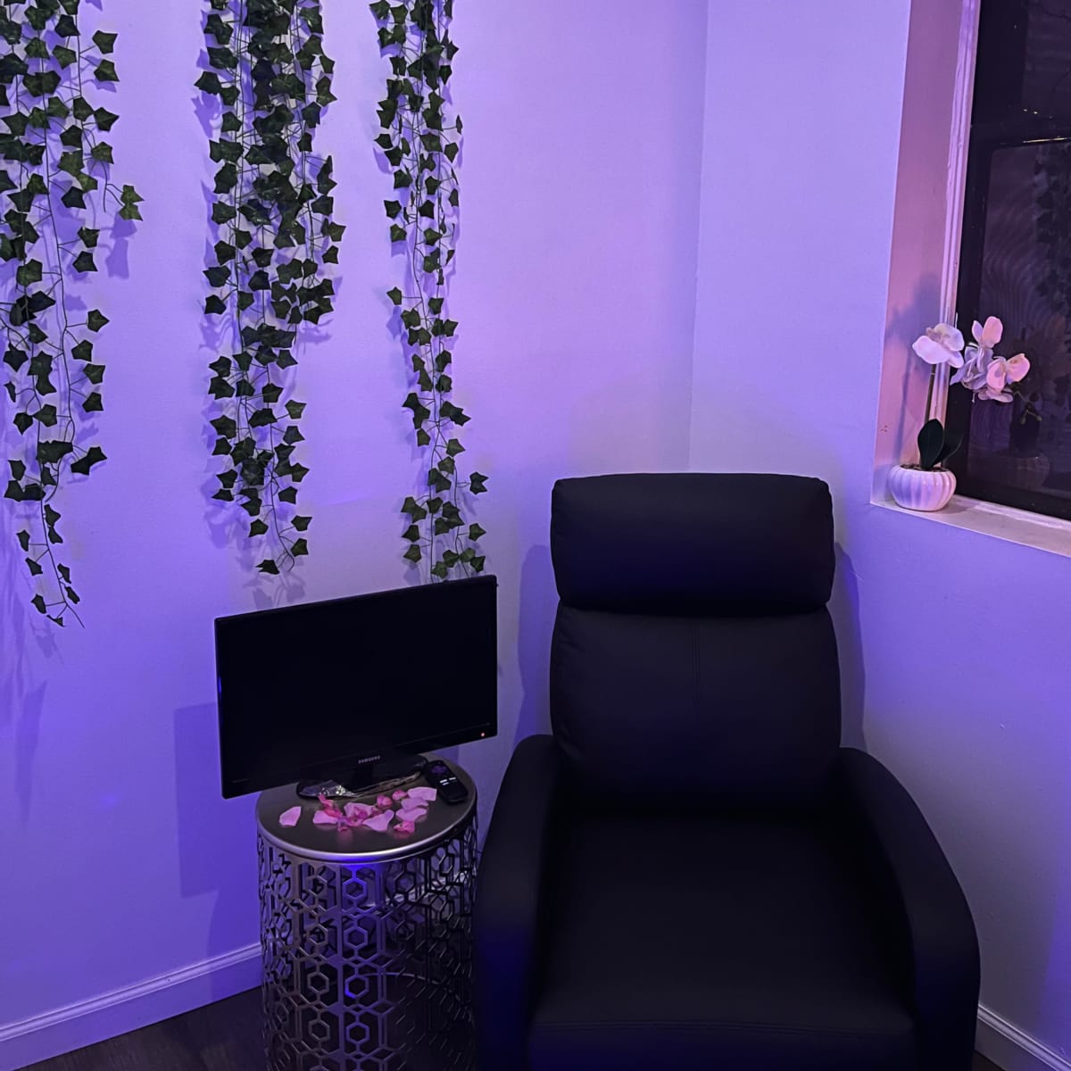 Tropical Themed Intimate and Luxe Space (Border Ridgewood/Bushwick NYC) in Ridgewood Image in Ridgewood, Ridgewood, NY
