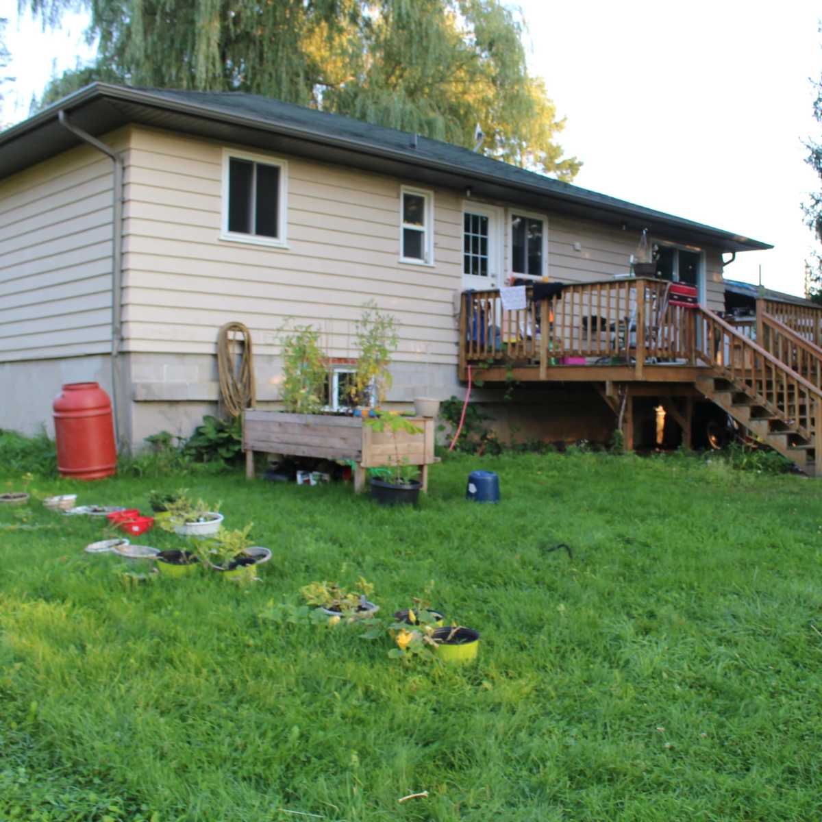 A single-story house with a wooden deck and stairs is set against a grassy yard with various potted plants and a storage barrel.