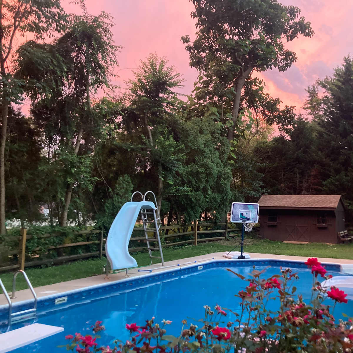 A swimming pool with a slide is surrounded by trees and colorful flowers, with a shed in the background under a pink sky.
