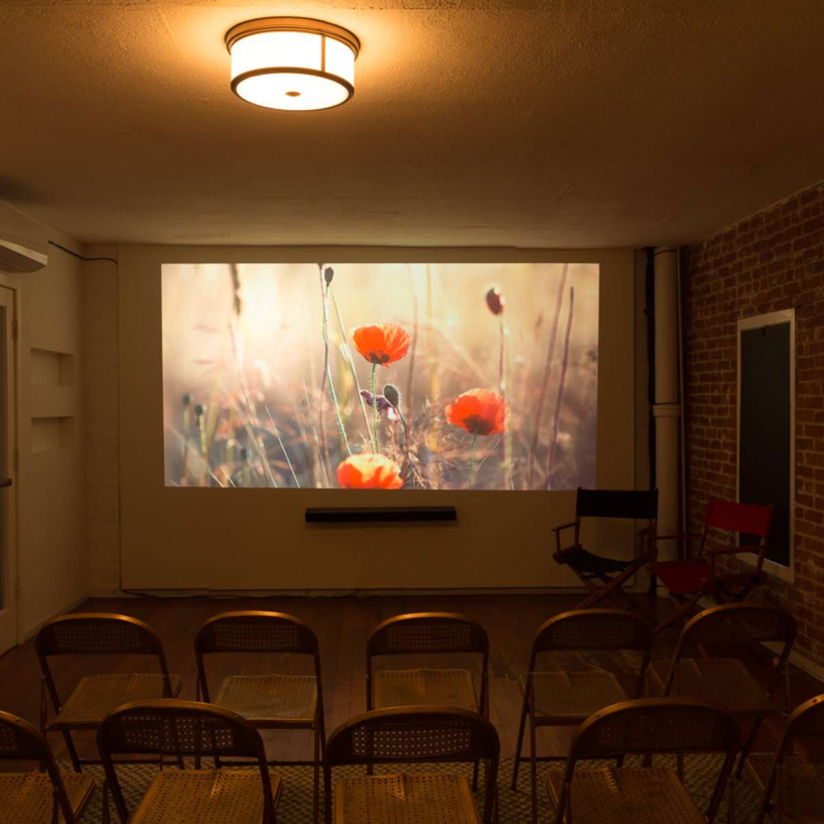A small, modern room is set up for a presentation, featuring a projector screen displaying flowers and arranged with rows of chairs in front.