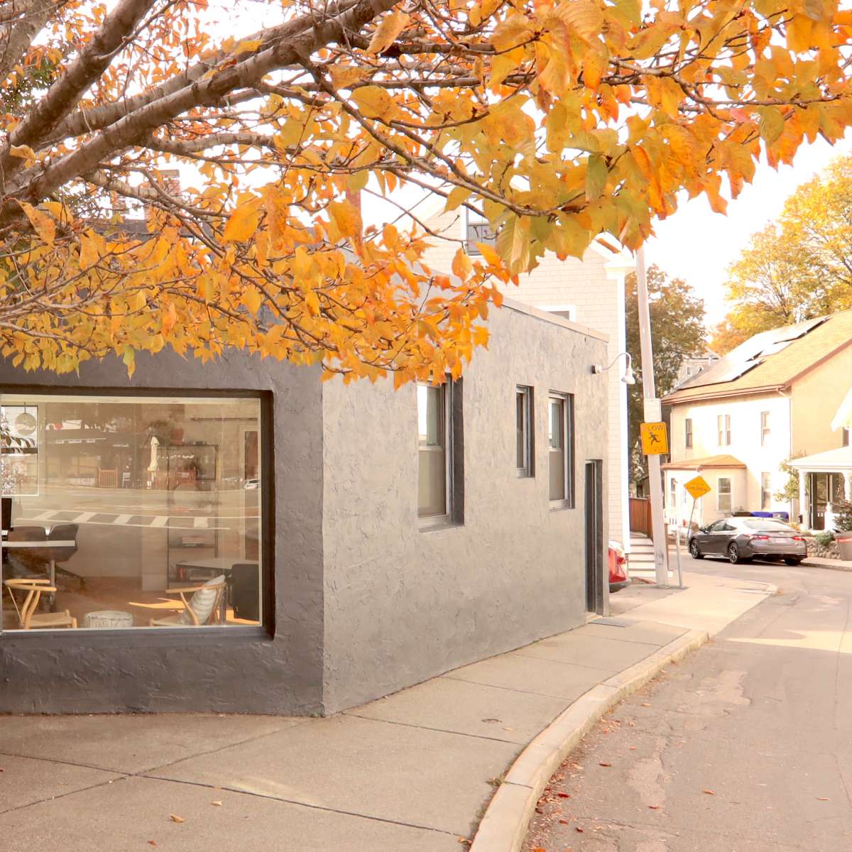 A gray building with large windows is situated at the corner of a street, framed by an orange-leaved tree.