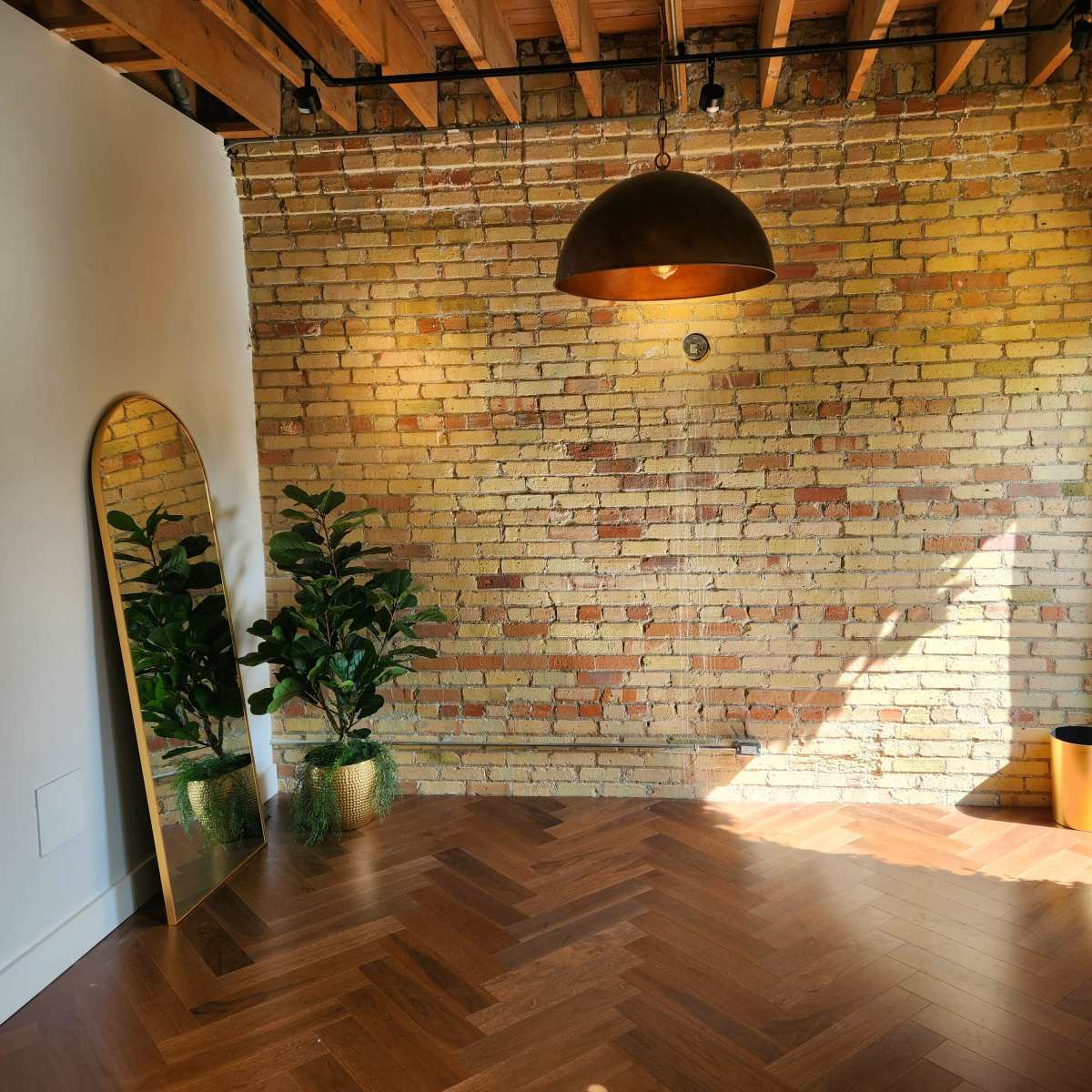 Loft Space with Full Kitchen, Exposed Brick, Wooden Floor with Photo Backdrop, Sound system in Toronto Image in Trinity-Bellwoods, Toronto, ON