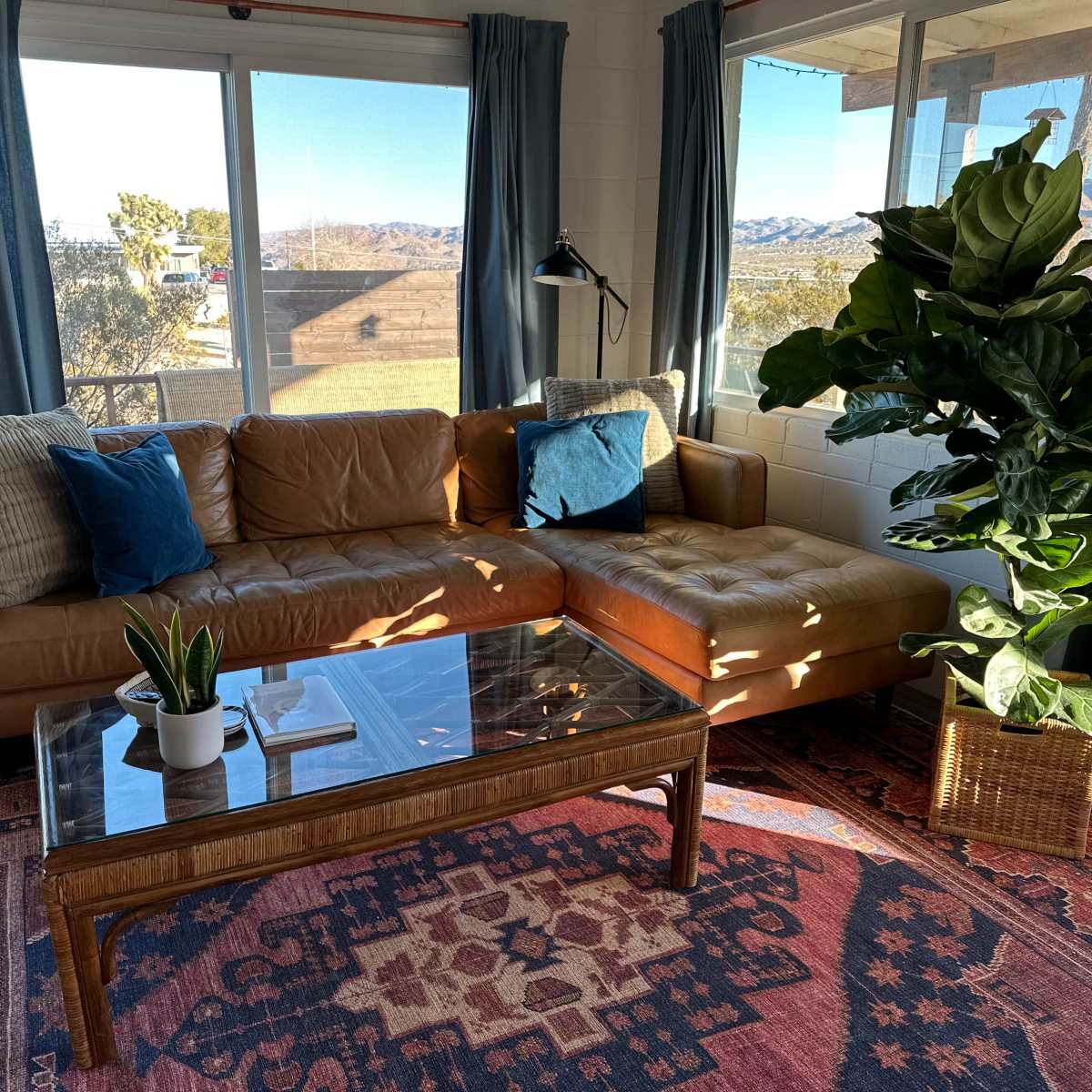 A cozy living room with a brown leather sectional sofa, a glass coffee table, and a large potted plant beside a window overlooking a desert landscape.
