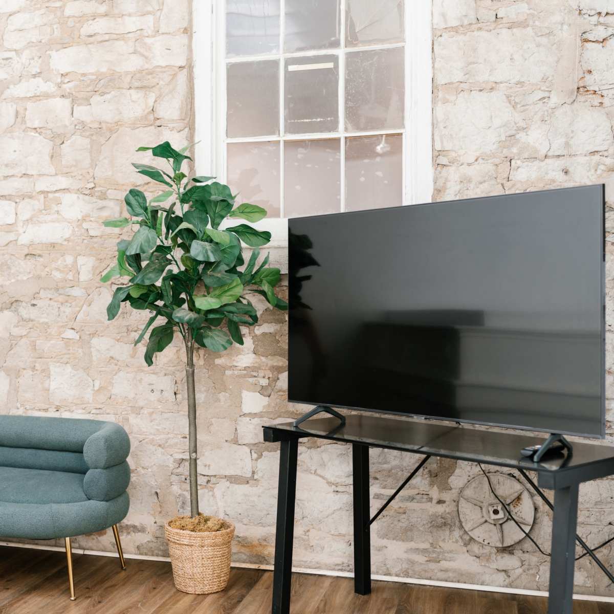 A green sofa and a potted plant are positioned next to a flat-screen TV against a stone wall in a well-lit room.