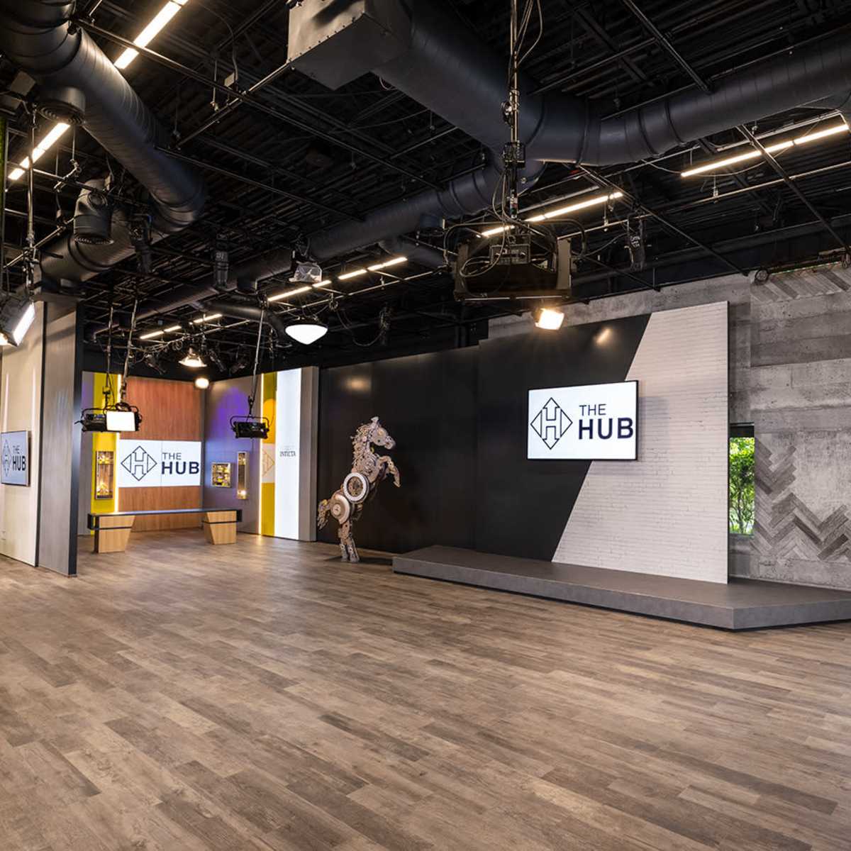 A modern studio space with a wooden floor, green wall, and a large screen displaying "THE HUB," along with studio lights and a decorative horse sculpture.