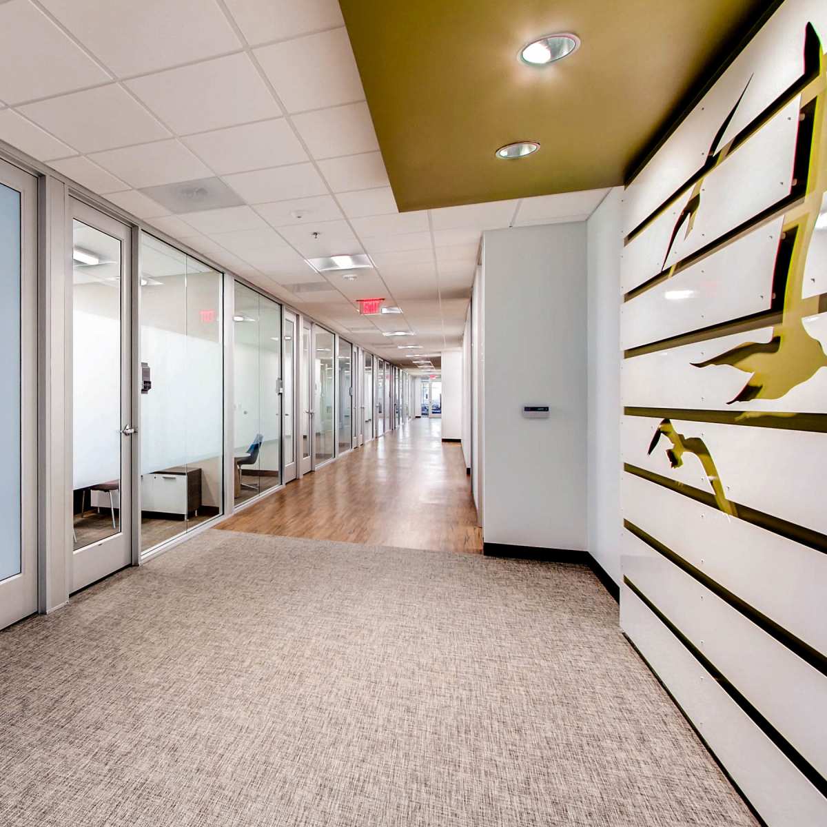 A modern office hallway lined with glass-walled conference rooms on one side and a textured wall with decorative elements on the other.