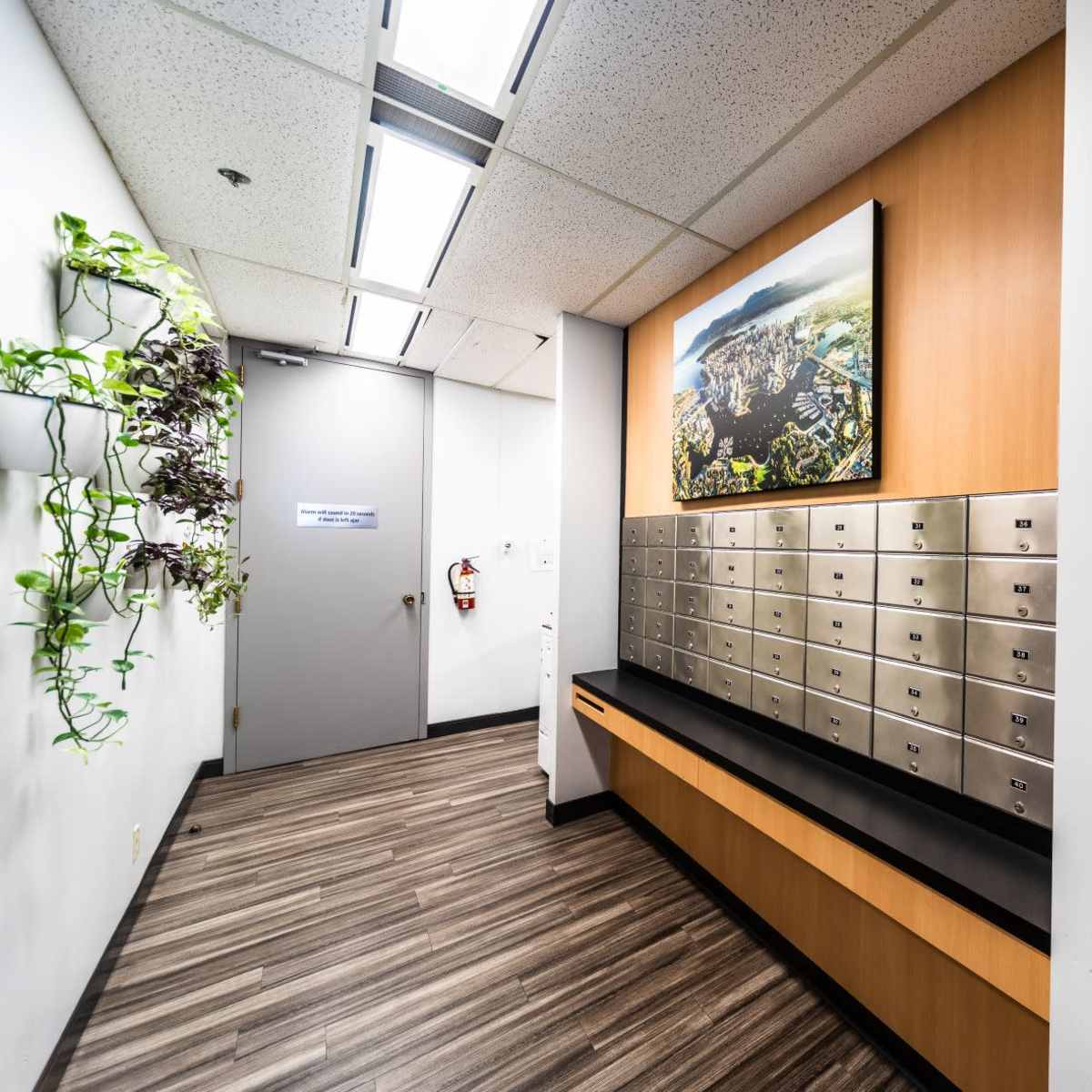 A hallway with mailboxes mounted on the wall, a large framed picture, and a plant feature on one side.