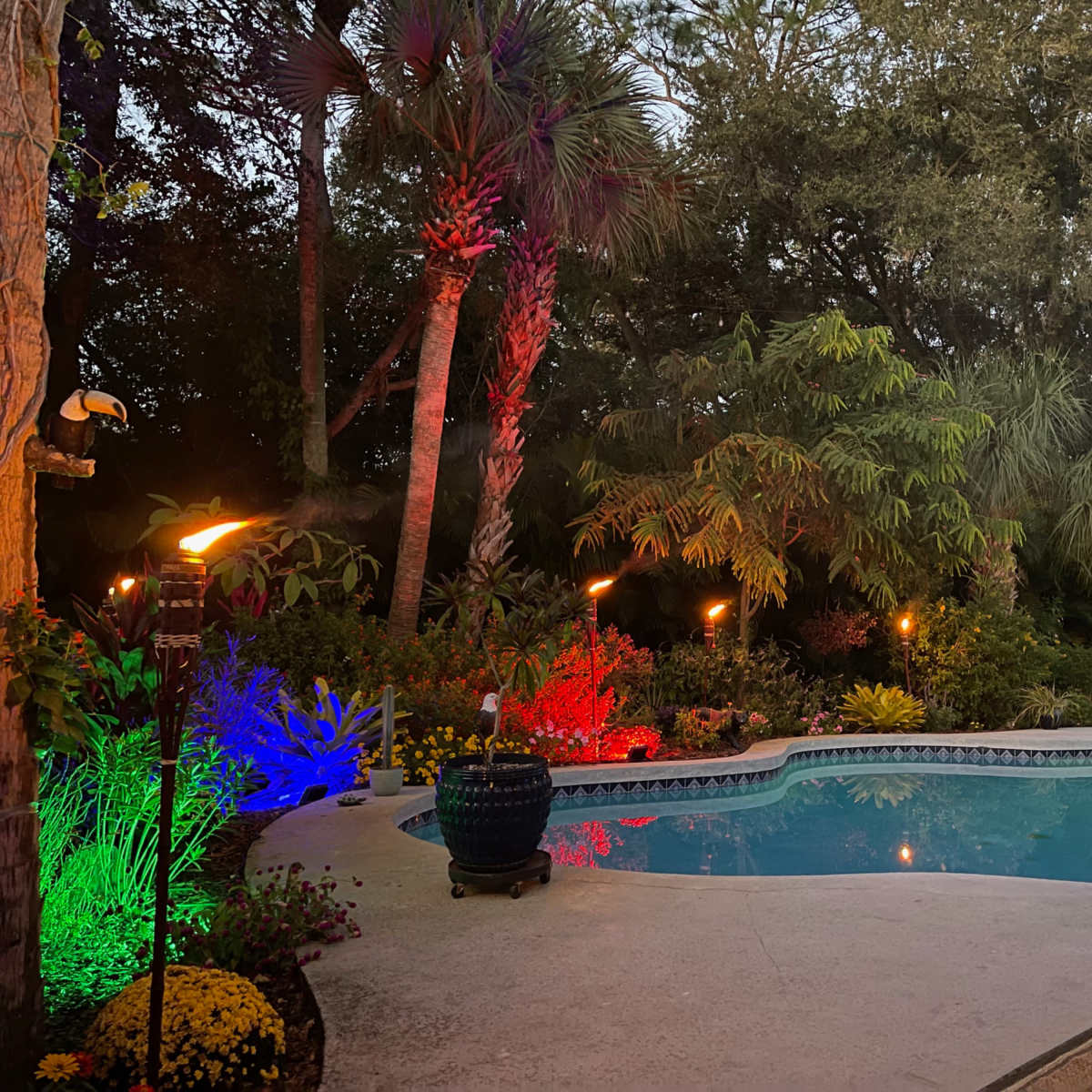 Tropical Butterfly Garden and Pool in Palm Bay Image in Palm Bay, Palm Bay, FL