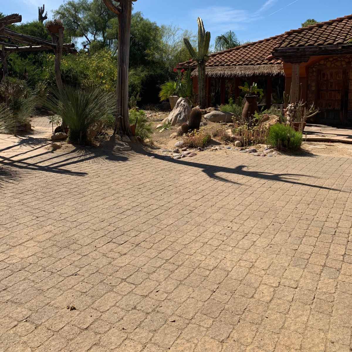 The scene shows a landscaped courtyard featuring cacti and stone paths, with a house in the background surrounded by desert vegetation under a clear blue sky.