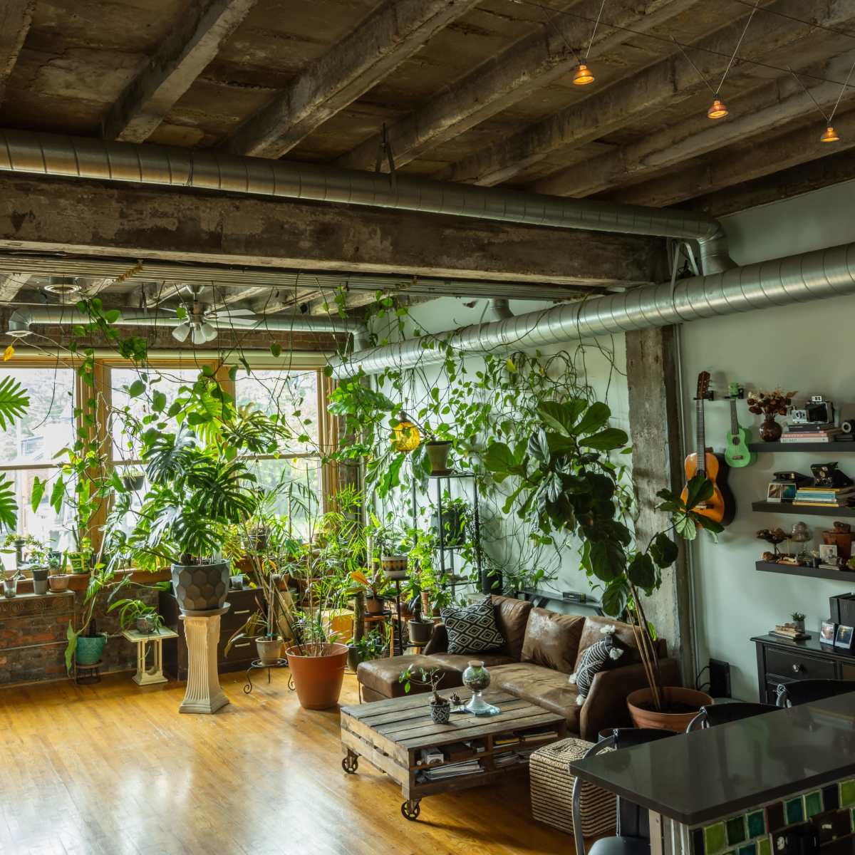 A spacious loft-style living room with exposed beams, large windows filled with indoor plants, and a mix of modern and rustic furnishings.