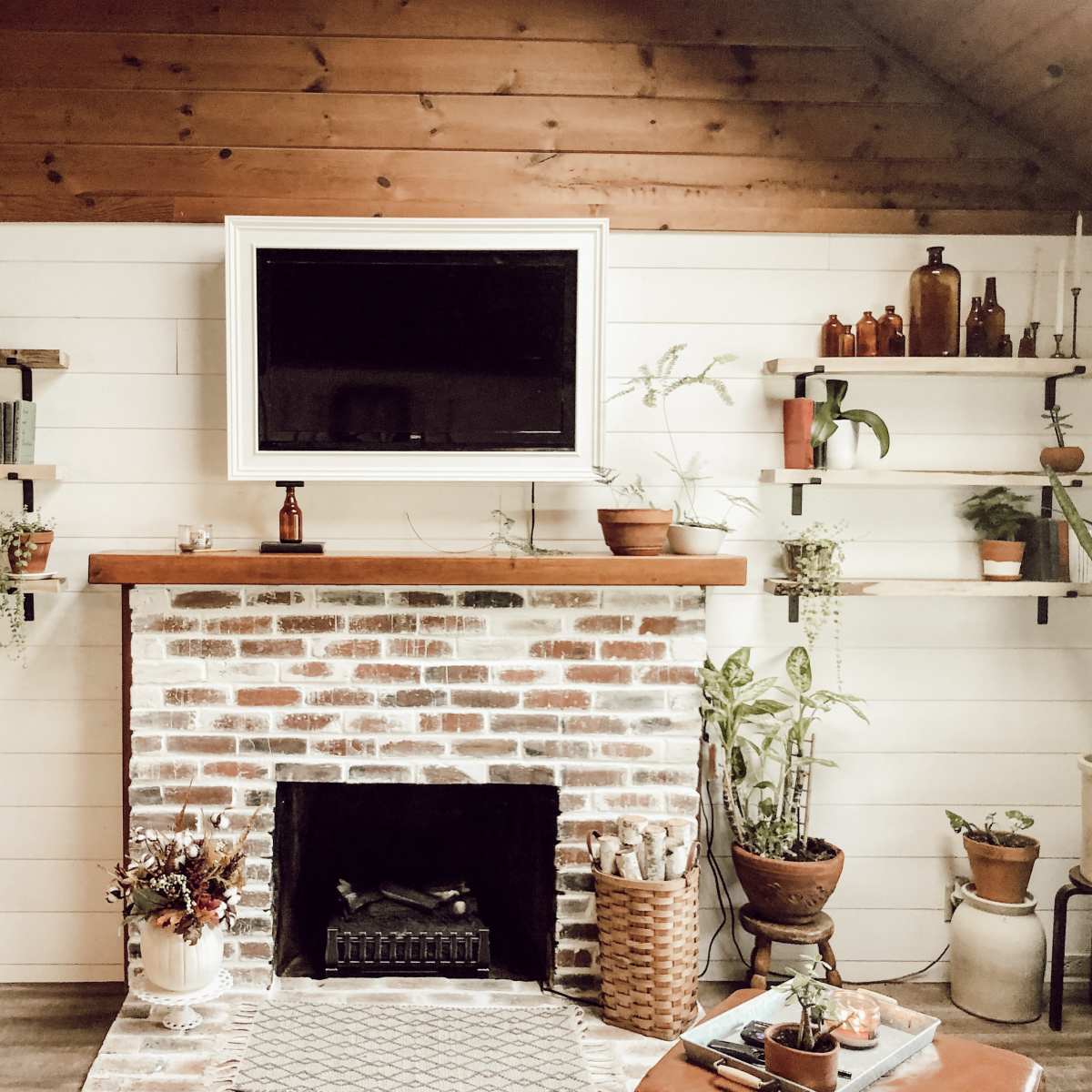 A brick fireplace is centered on a wall with wooden shelves holding plants and decorative bottles, beneath a television and surrounded by various houseplants.