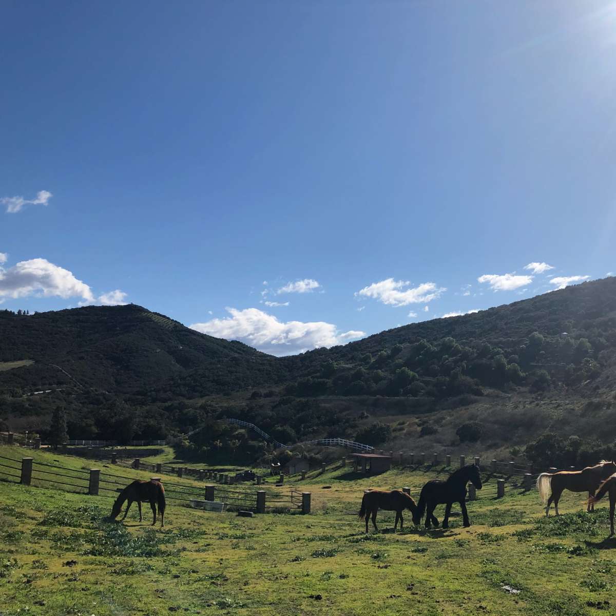 Rustic Horse Ranch with Scenic Views, Murrieta, CA | Production | Peerspace