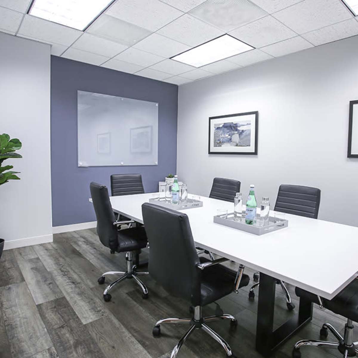 A modern conference room features a large white table surrounded by black chairs, with framed artwork on the walls and a potted plant in the corner.