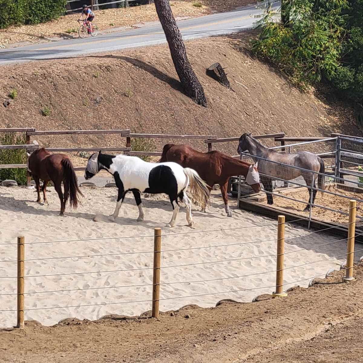 Mountain-top ranch with gorgeous views, horses, rock pool and waterfall in Calabasas Image in , Calabasas, CA