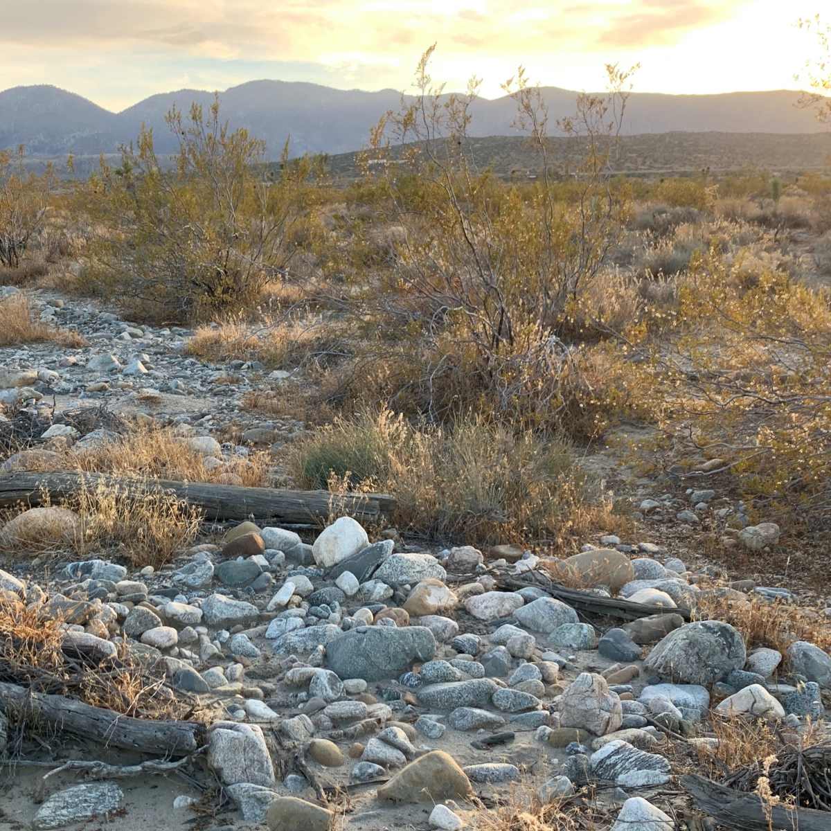 A rocky desert landscape with sparse vegetation and distant mountains under a sunset sky.