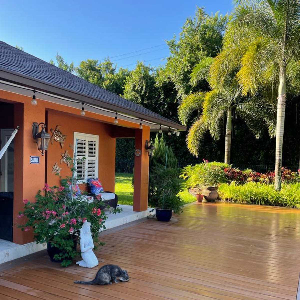 A wooden deck features a cat lying down near a potted plant and a statue, with a house and palm trees in the background.