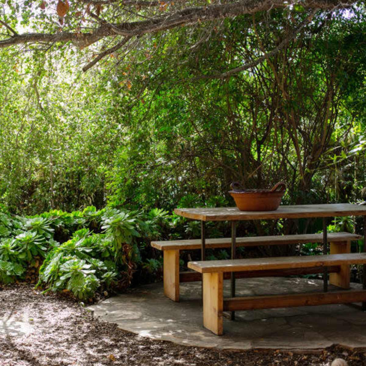 A wooden picnic table sits on a stone patio surrounded by lush greenery and shade.