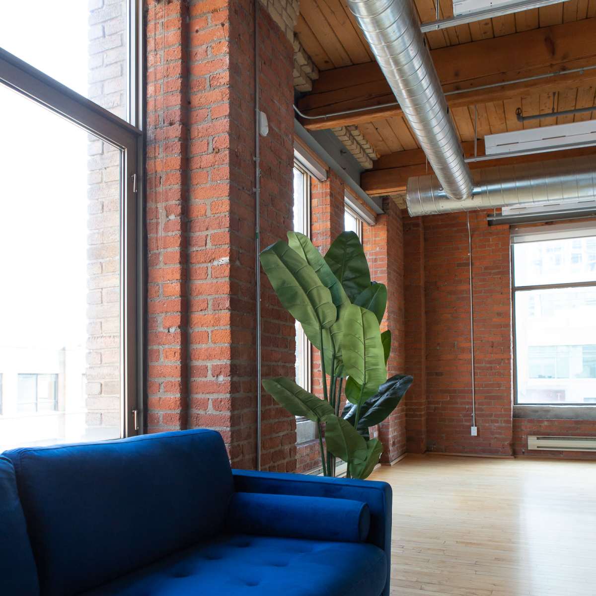 A bright, airy room with large windows, exposed brick walls, a wooden ceiling, and a blue couch next to a potted plant.