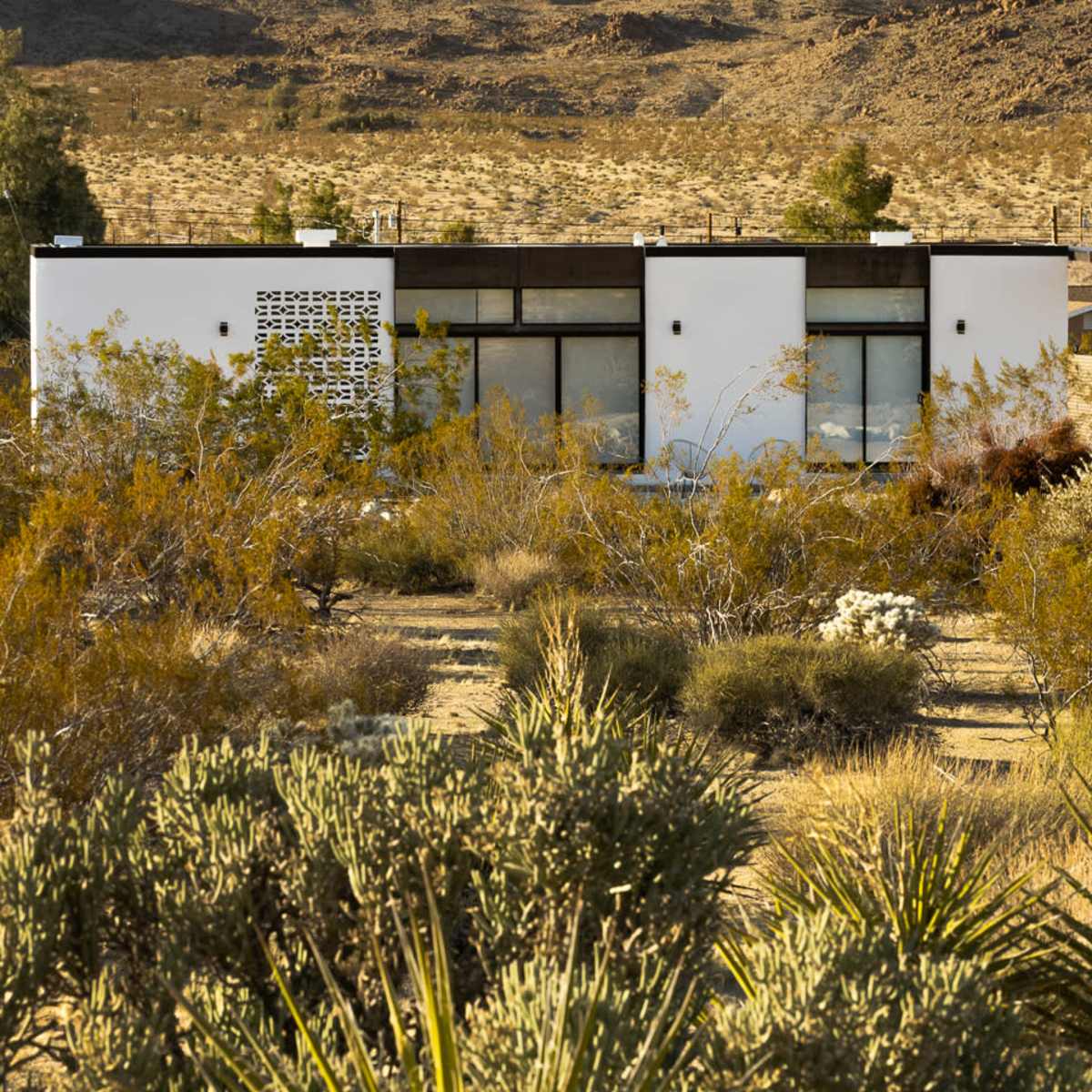 A modern white house with large windows sits amid desert vegetation and mountains in the background.