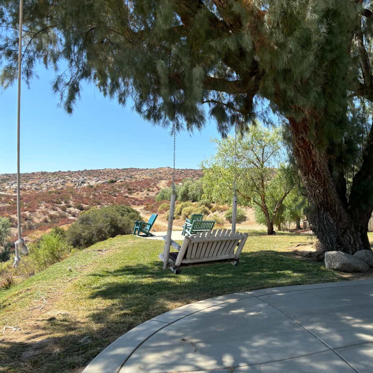 The scene features a grassy area with a concrete patio under large trees, two wooden swings, and a hillside in the background.
