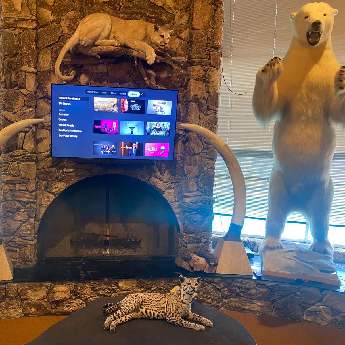 The scene features a stone fireplace with a large flat-screen TV mounted above it, flanked by two taxidermied polar bears and a snow leopard lounging on a rug in front.