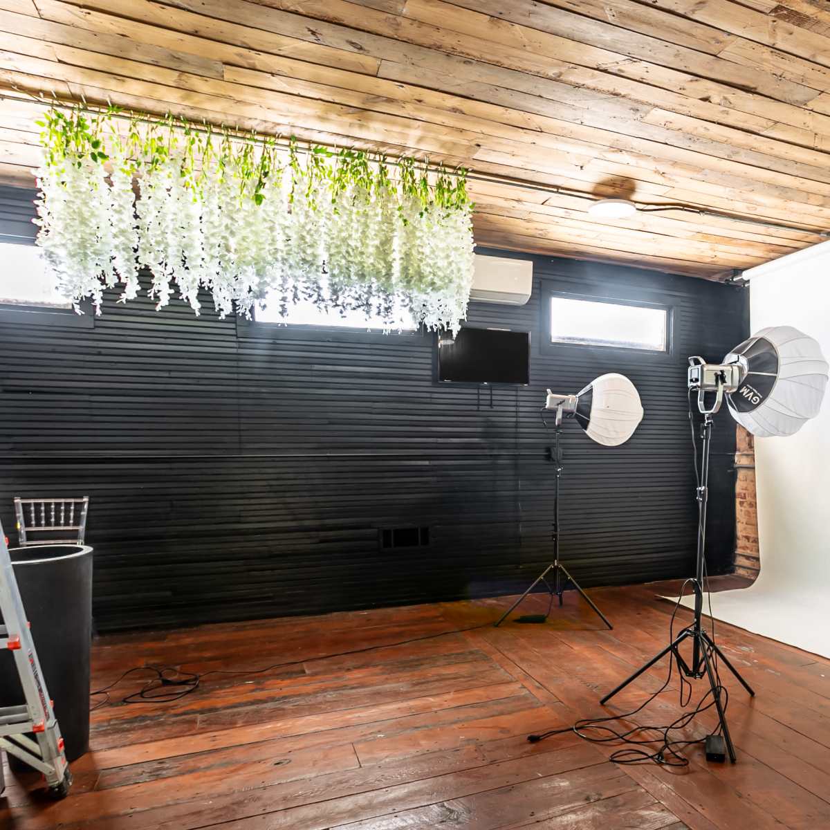 A photography studio featuring a white backdrop, two lighting setups, and hanging decorative greenery on a wooden ceiling.