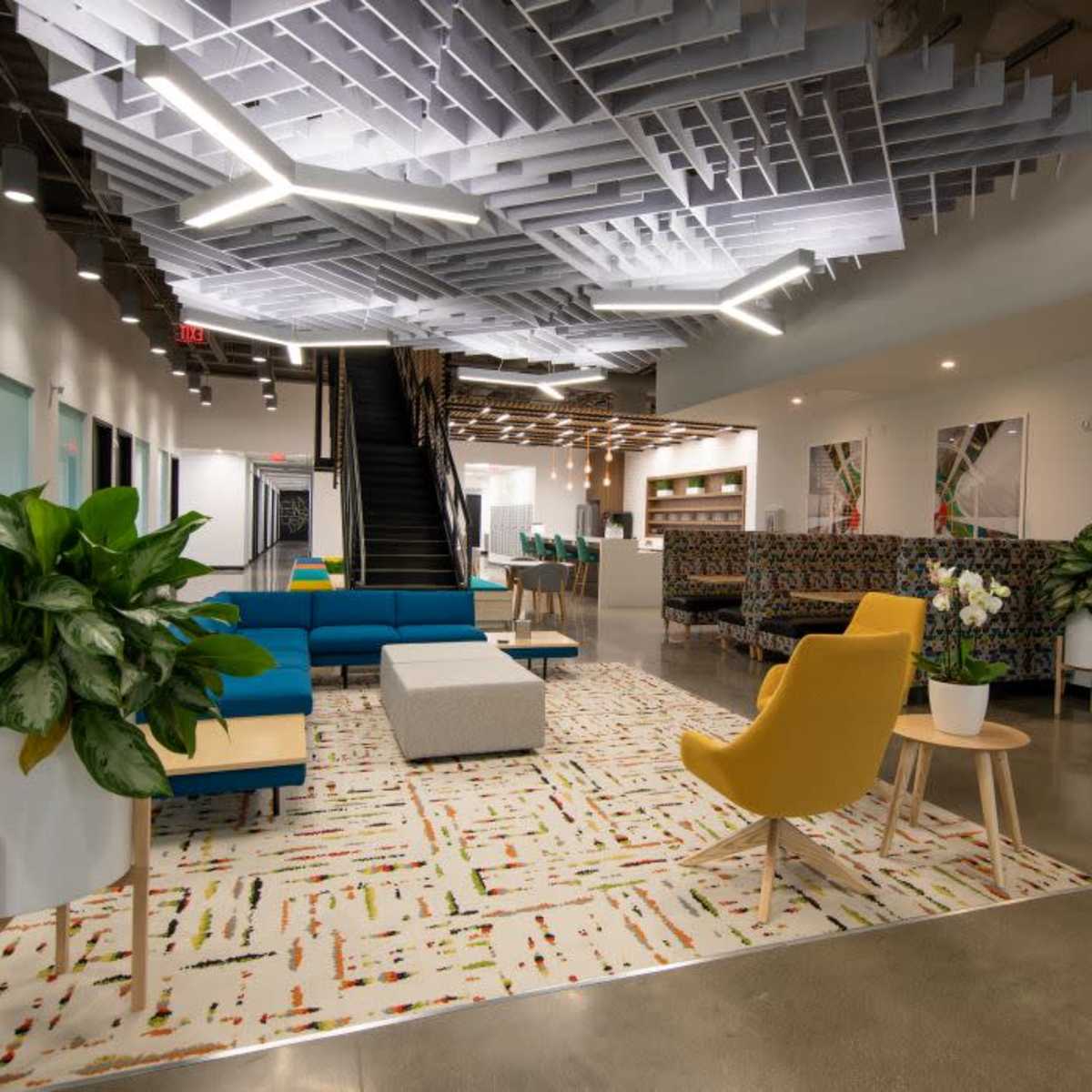 A modern office lobby with colorful seating arrangements, plants, and a patterned rug beneath a decorative ceiling.
