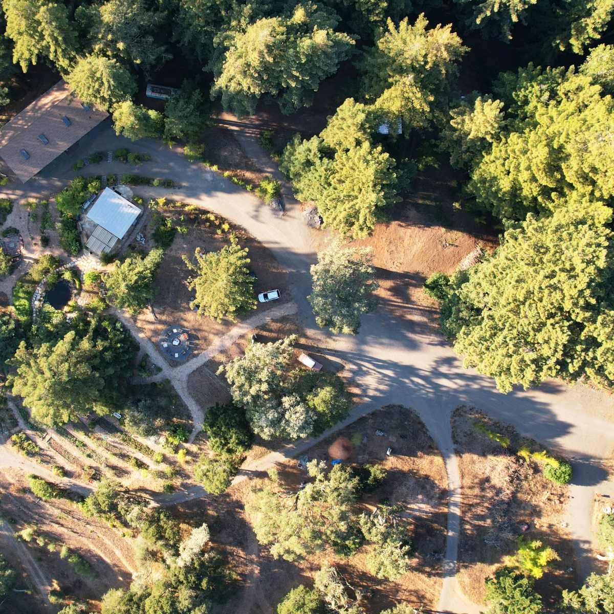 An aerial view shows a wooded area with a cluster of buildings and winding pathways amid dense trees.