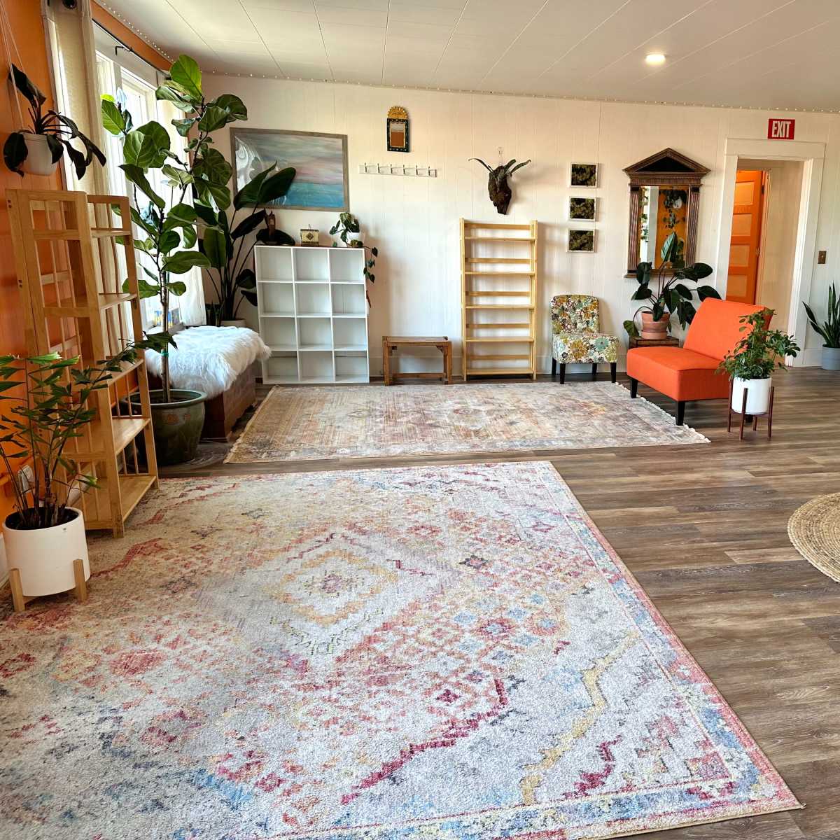 A spacious room with hardwood floors, furnished with an orange chair, various plants, shelves, and a large area rug.