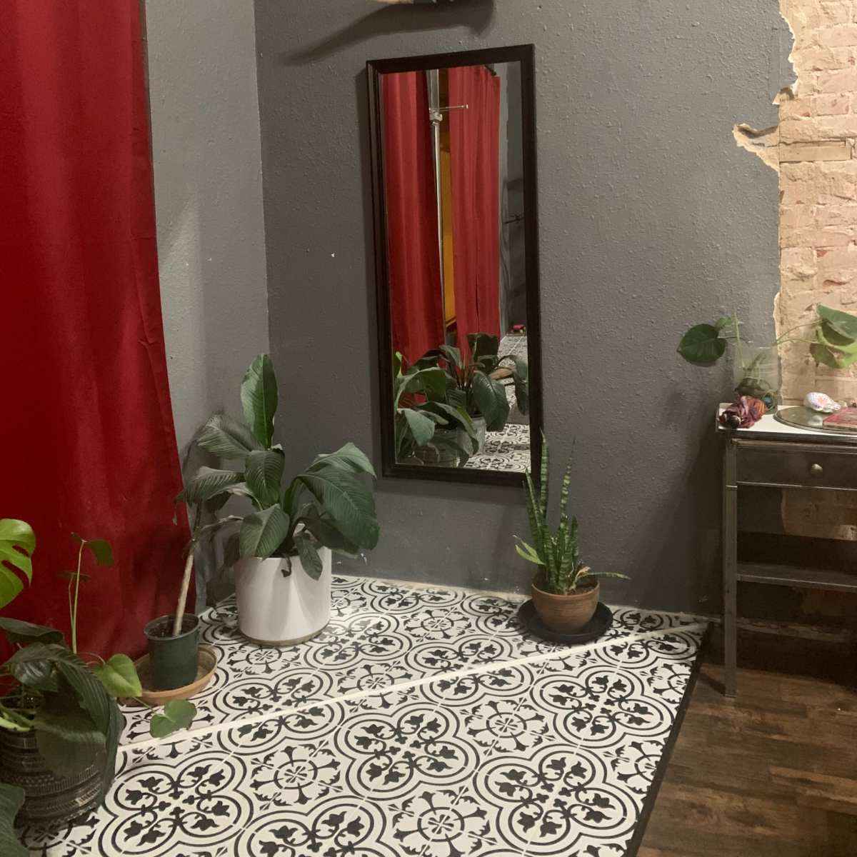 A room corner featuring a large mirror, a wall-mounted decorative horn, several potted plants, and a patterned floor.