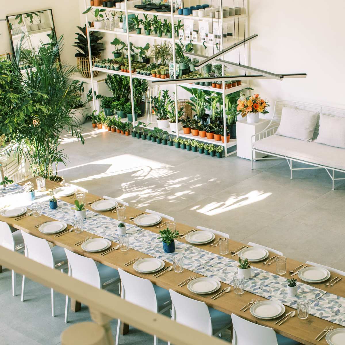 A long dining table is set with plates and greenery in a bright room featuring shelves of plants and decorative items.