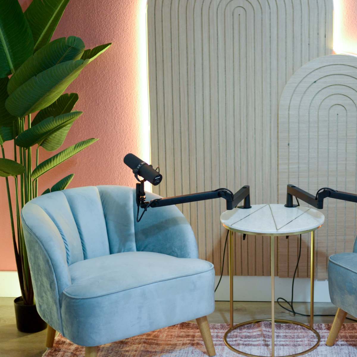 Two upholstered chairs with microphone stands positioned in front of a small round table, surrounded by decorative plants against a softly lit backdrop.