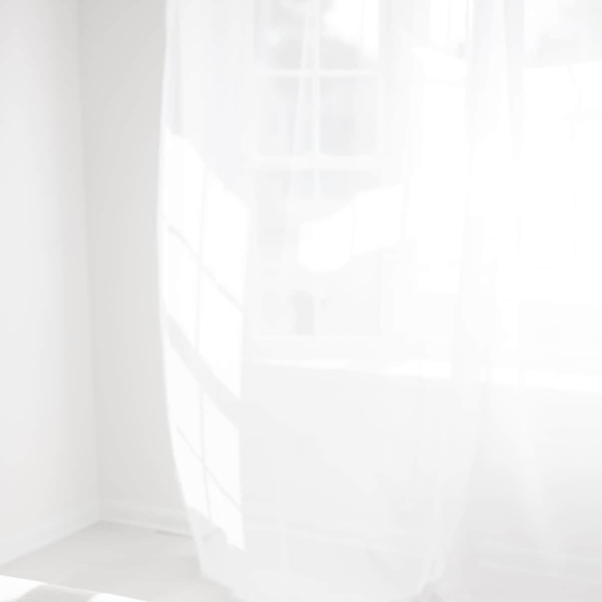 Cute natural light studio in Winston-Salem Image in Downtown Winston-Salem, Winston-Salem, NC