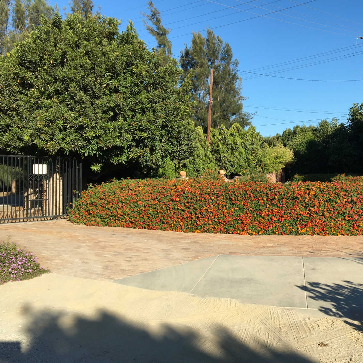 A circular garden with vibrant flowers surrounds a paved pathway leading to a gated entrance.