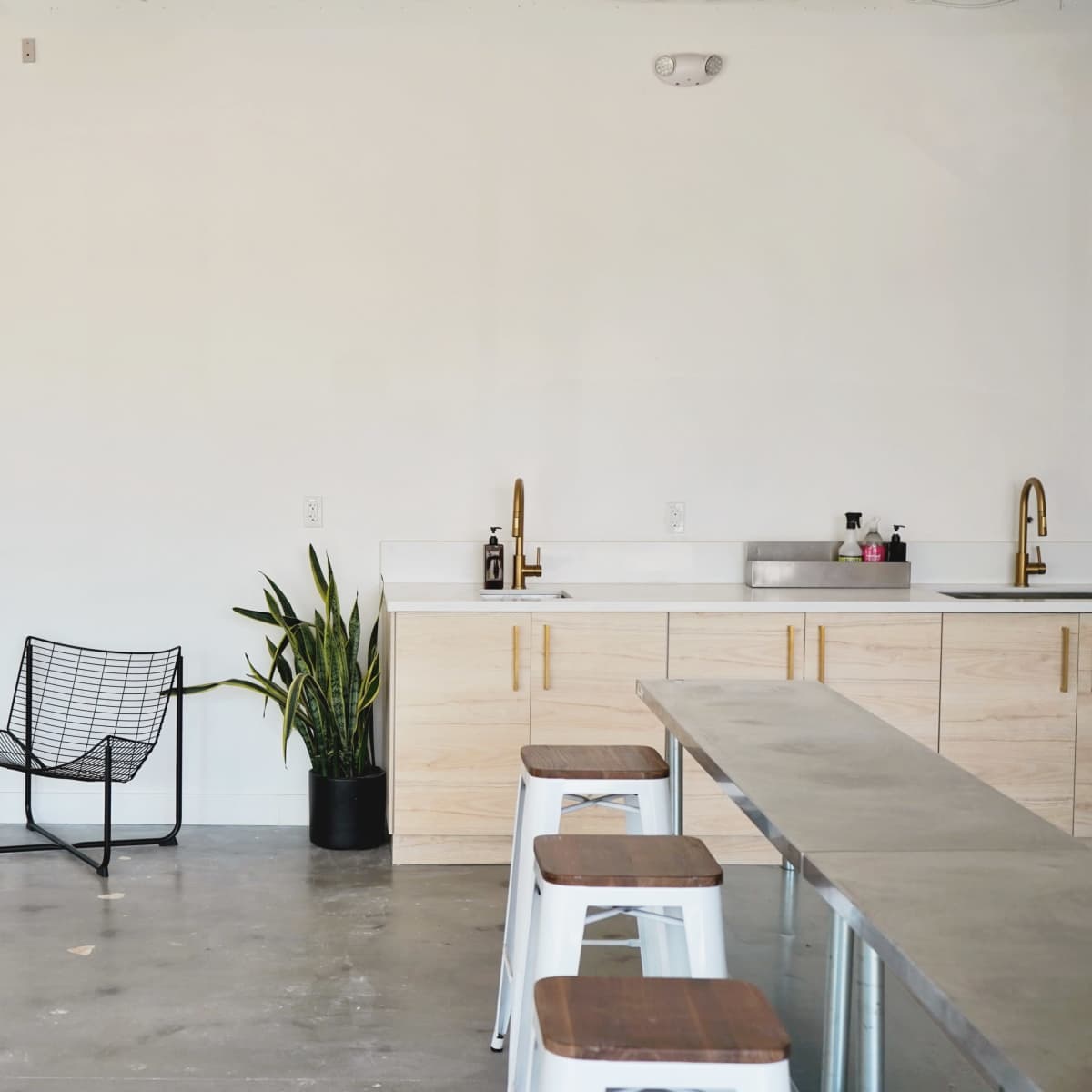A minimalist interior space with two wire chairs, a potted plant, and a kitchen area featuring a countertop and sink.