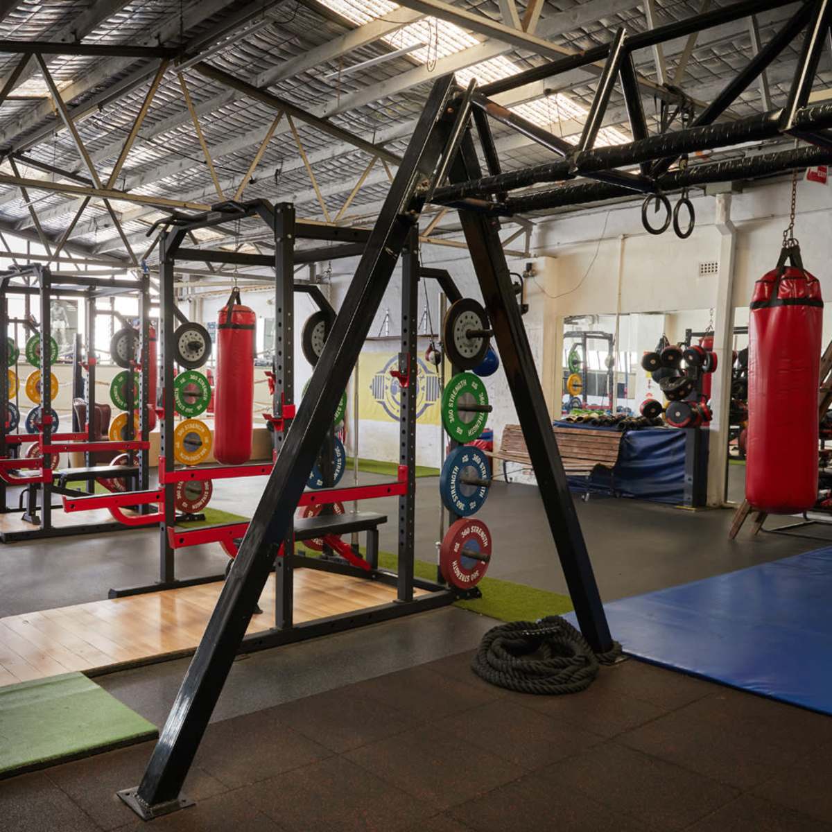 An interior view of a gym featuring weightlifting equipment, punching bags, and a variety of exercise surfaces.