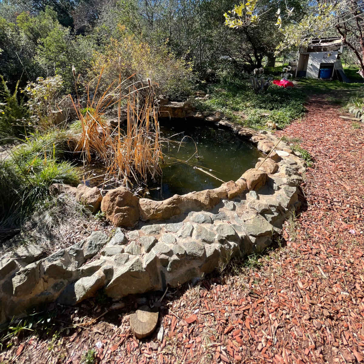 A stone-bordered pond surrounded by greenery and mulch sits under a clear blue sky.