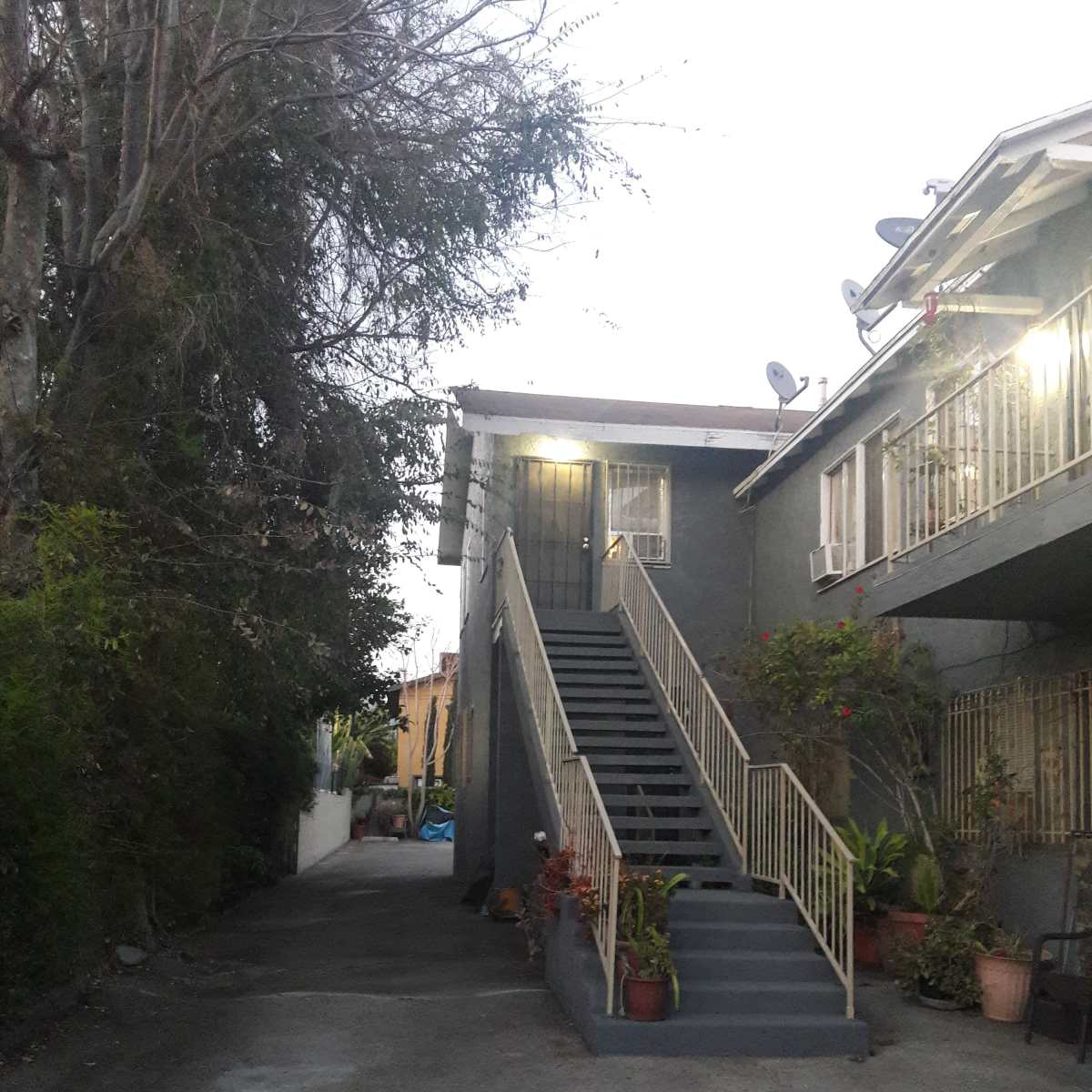 A narrow pathway leads to a set of stairs on a building with plants and outdoor lights.