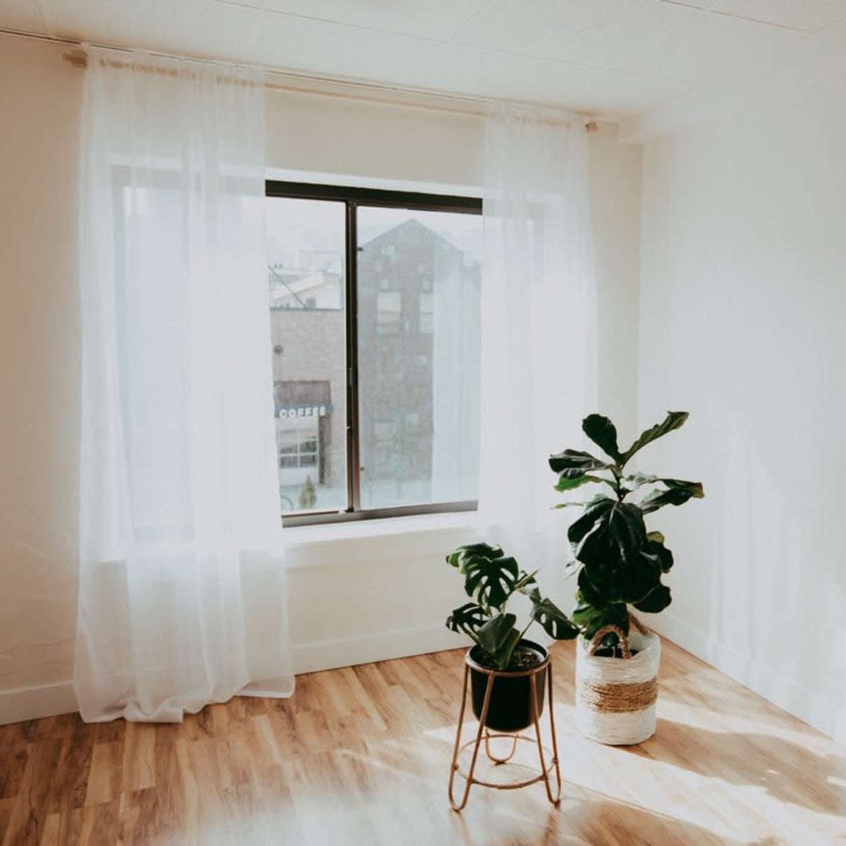 A bright room features a window with sheer curtains and two potted plants on the floor.