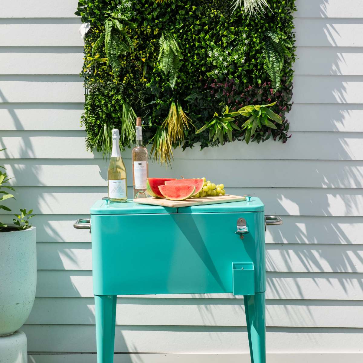A turquoise cooler is positioned in front of a textured green wall, adorned with vibrant plants, while a plate of watermelon and grapes sits atop it alongside two bottles of wine.