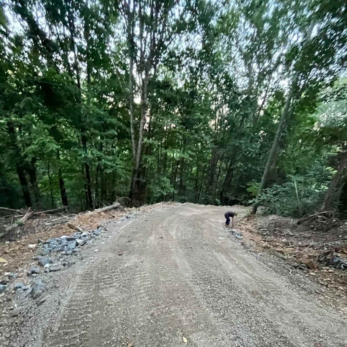 A gravel path winds through a wooded area, with trees lining both sides and loose stones scattered along the edges.