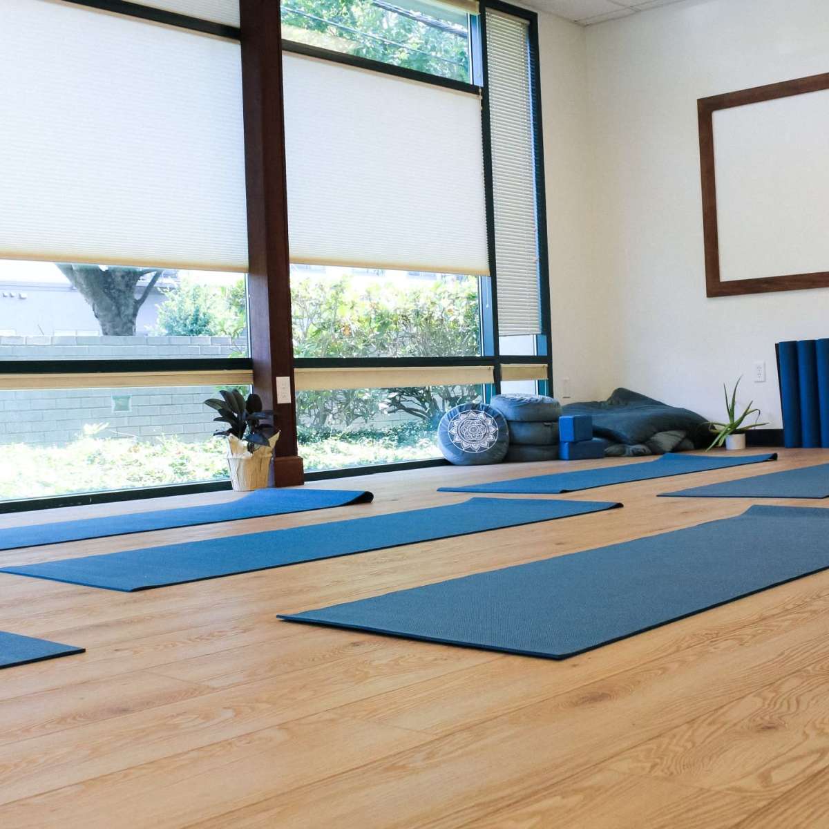 Beautifully lit studio in Downtown Vancouver, WA, Vancouver, WA