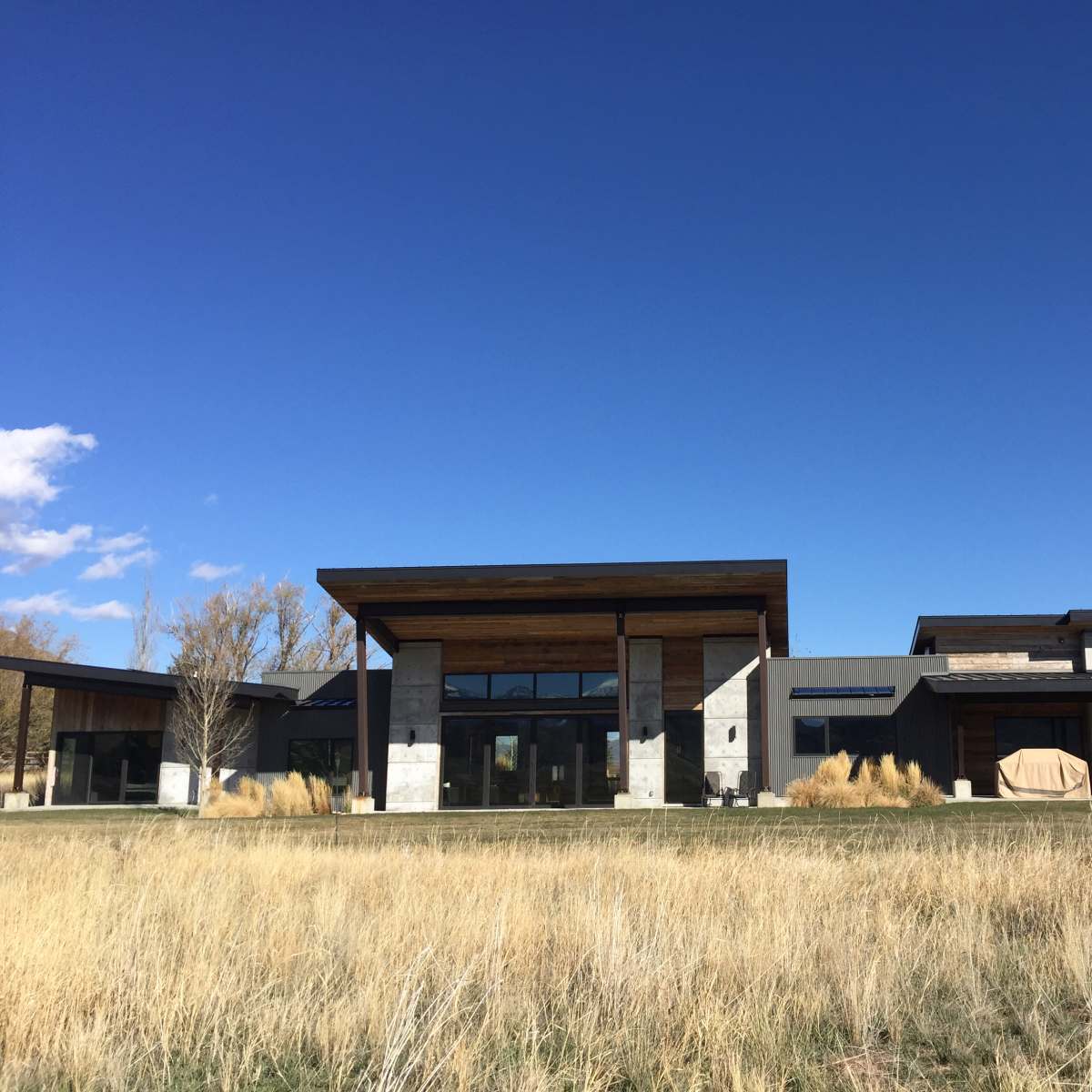 A modern single-story house with a flat roof and large windows sits in a field of tall grass under a clear blue sky.